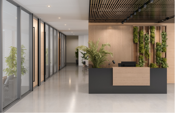 Modern Reception